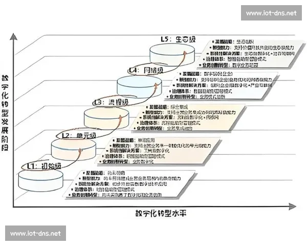 体育行业流程优化驱动下的数字化转型与高效运营创新路径研究实践探索与战略升级